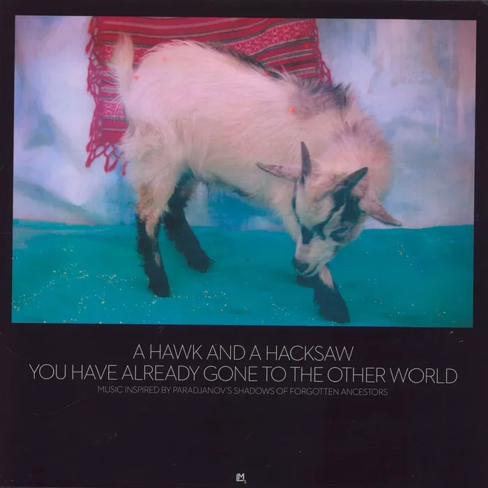 A Hawk And A Hacksaw You Have Already Gone To The Other World US 2-LP vinyl set