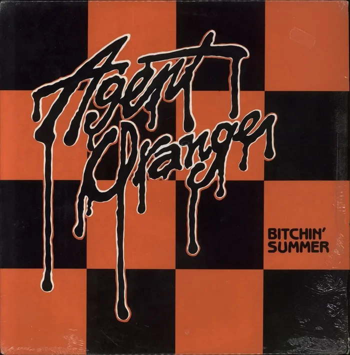 Agent Orange Bitchin’ Summer US 12 ” vinyl