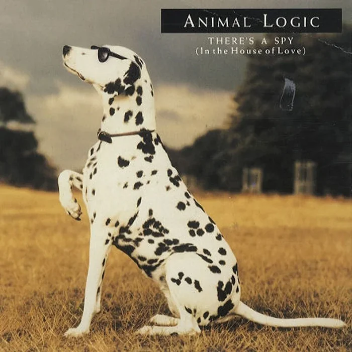 Animal Logic There’s A Spy UK 7 ” vinyl