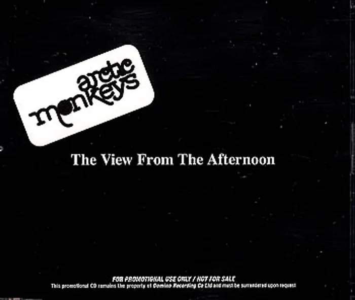 Arctic Monkeys The View From The Afternoon UK Promo CD single