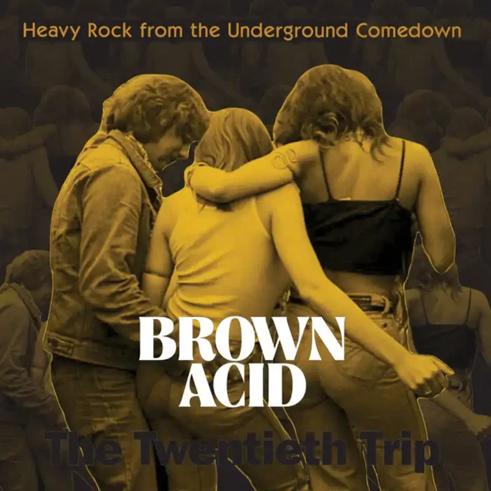 Brown Acid Twentieth Trip / Various – Brown Acid Twentieth Trip / Various [LP]