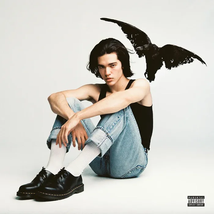 Conan Gray – Kid Krow [LP]