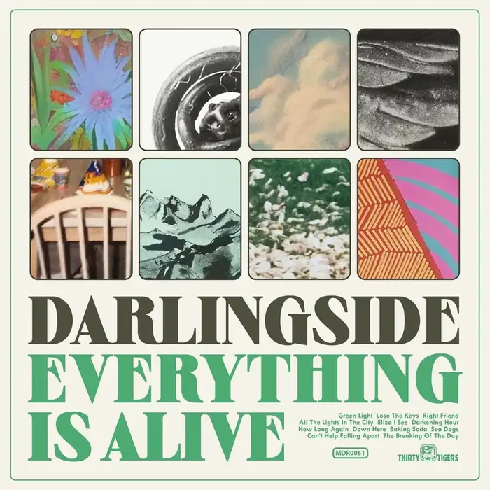 Darlingside – Everything Is Alive [LP]
