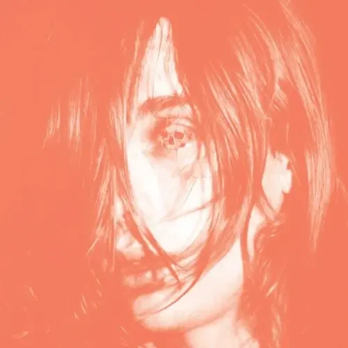 Deerhunter – Microcastle [LP]