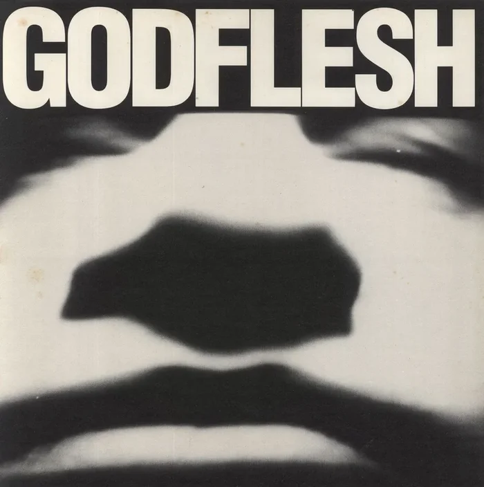 Godflesh Godflesh UK Vinyl LP
