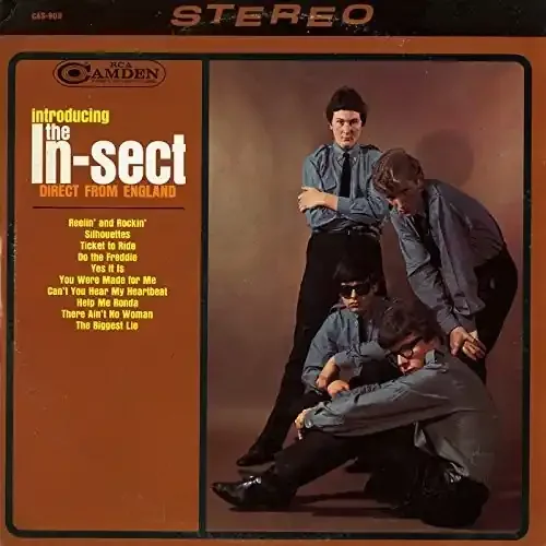 In-Sect Introducing The In-Sect Direct from England – COMPACT DISCS