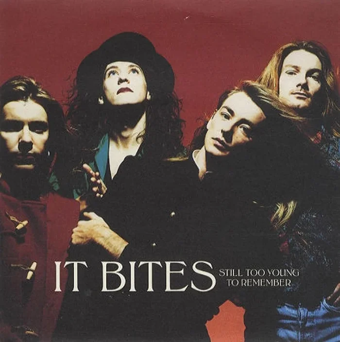 It Bites Still Too Young To Remember UK 7 ” vinyl