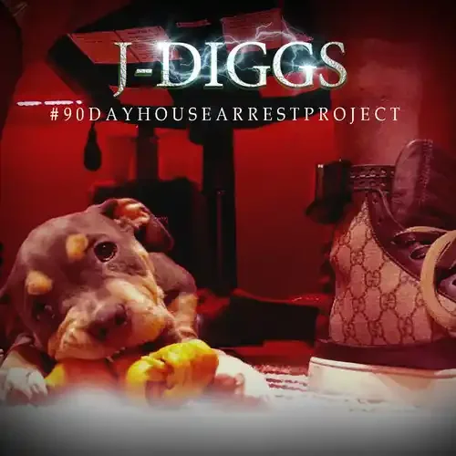 J. Diggs 90Dayhousearrestproject – COMPACT DISCS
