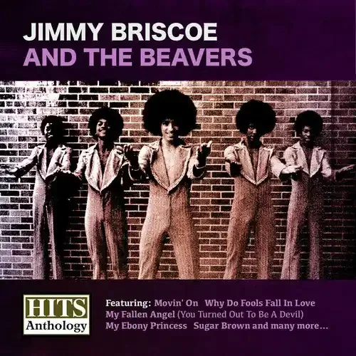 Jimmy Briscoe Hits Anthology Jimmy Briscoe & Beavers – COMPACT DISCS