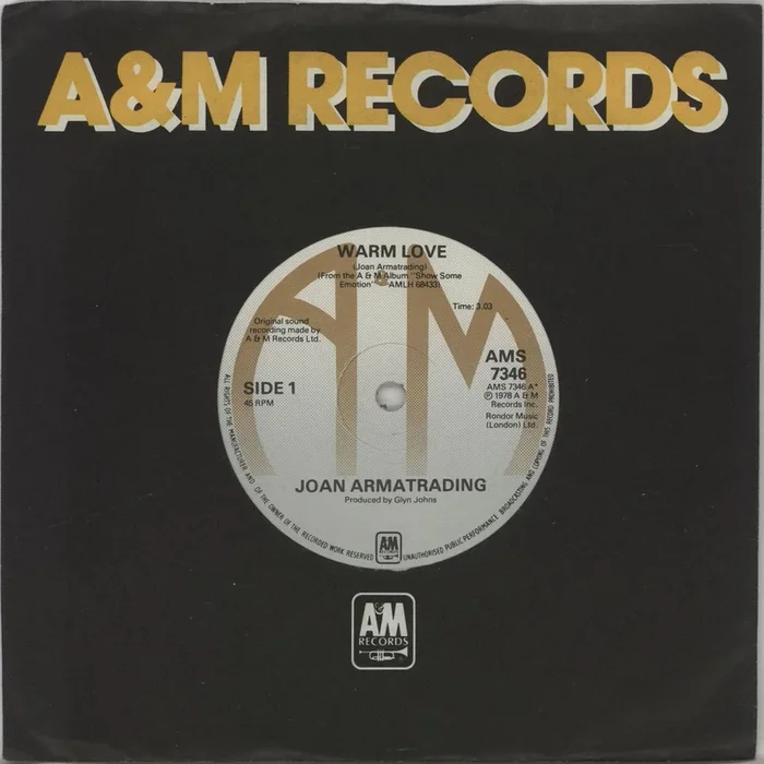 Joan Armatrading Warm Love UK 7 ” vinyl