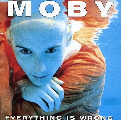 Moby Everything Is Wrong