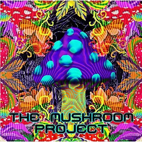 Mushroom Project Mushroom Project – COMPACT DISCS