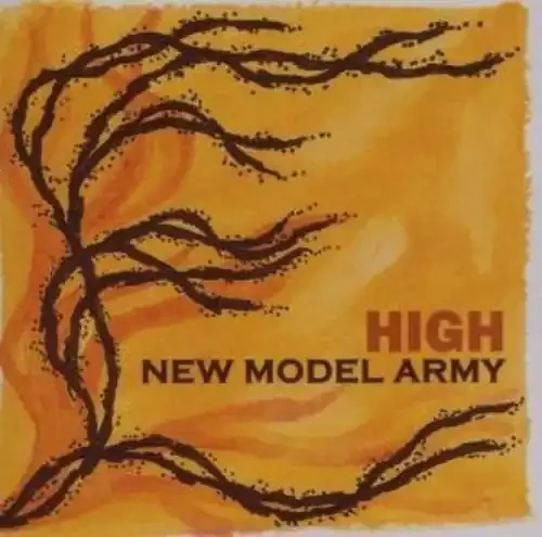 New Model Army High – COMPACT DISCS