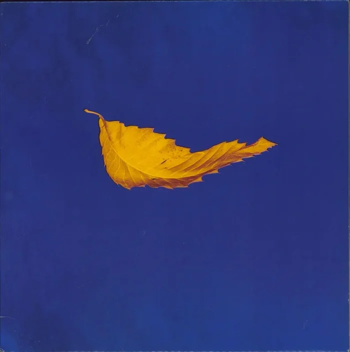 New Order True Faith Canadian 12 ” vinyl