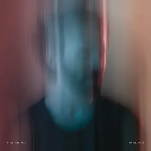 Peter Silberman Impermanence – COMPACT DISCS