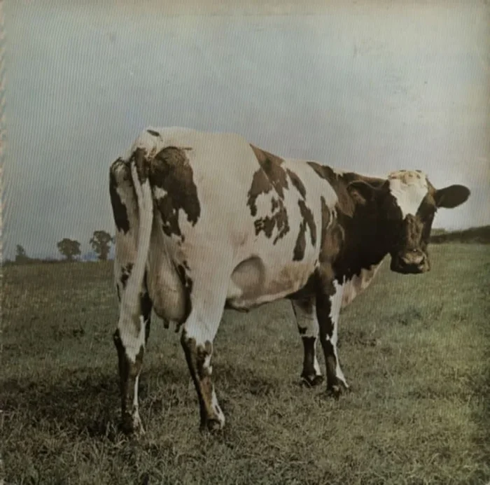 Pink Floyd Atom Heart Mother Portugese Vinyl LP