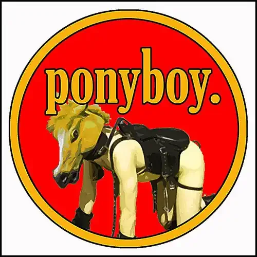 Ponyboy. Little Dick Demo – COMPACT DISCS