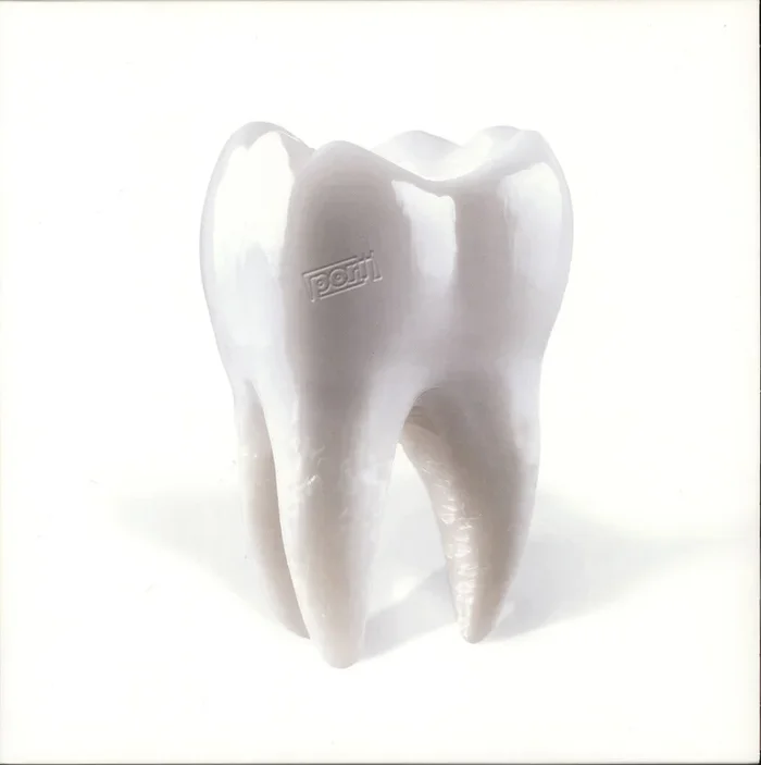 Porij Teething UK Vinyl LP