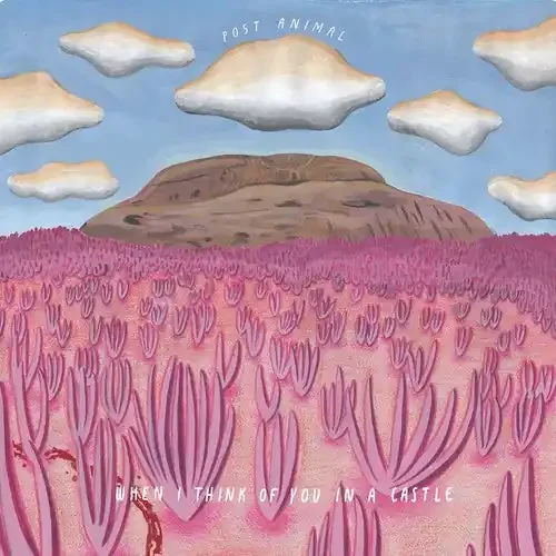 Post Animal When I Think Of You In A Castle – COMPACT DISCS