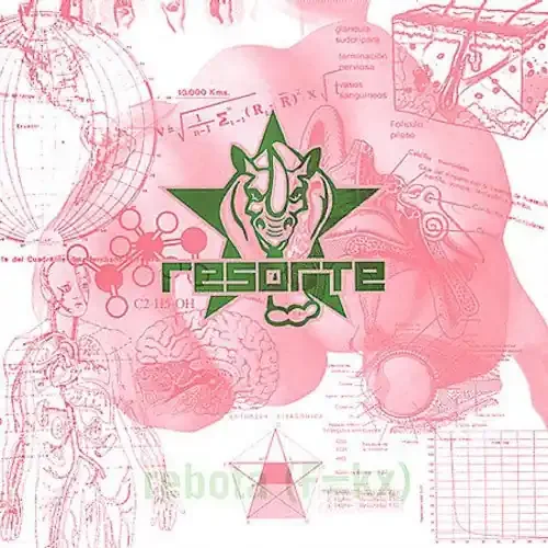 Resorte F=KX Rebota – COMPACT DISCS