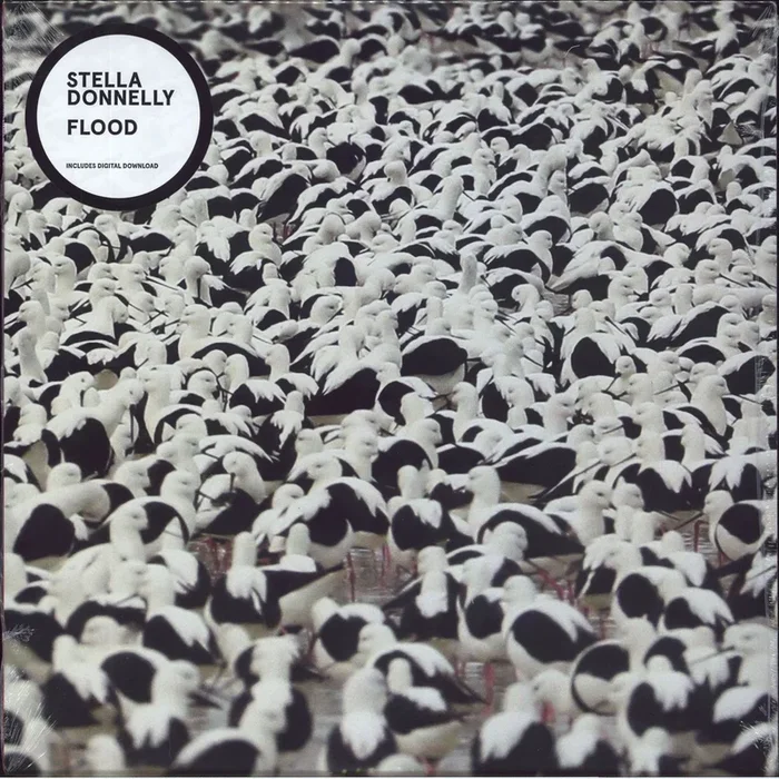 Stella Donnelly Flood – Sealed US Vinyl LP
