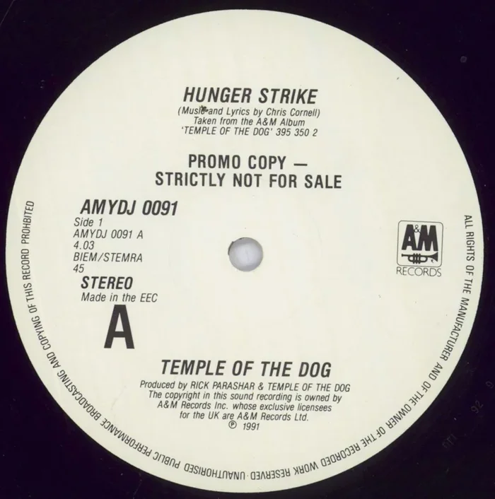 Temple of the Dog Hunger Strike UK Promo 12 ” vinyl