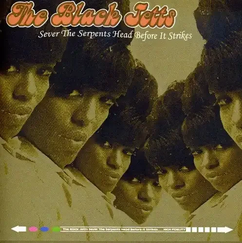 The Black Jetts Sever the Serpents Head Before It Strikes – COMPACT DISCS