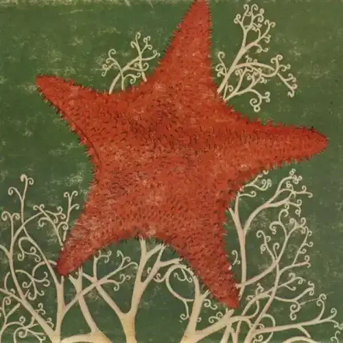 The Blithe Sons Arm of the Starfish – COMPACT DISCS