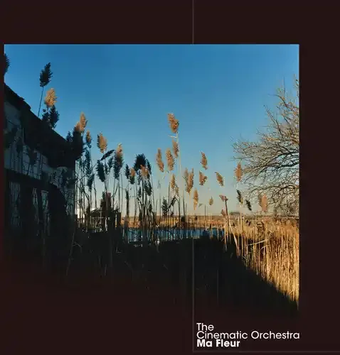 The Cinematic Orchestra Ma Fleur – COMPACT DISCS