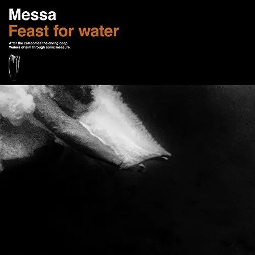 The Mess Feast For Water – COMPACT DISCS