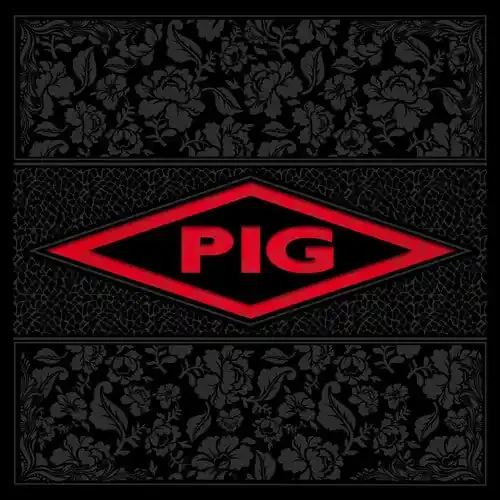 The Pig Candy – COMPACT DISCS