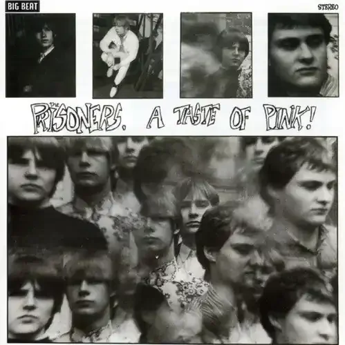 The Prisoners Taste of Pink – COMPACT DISCS