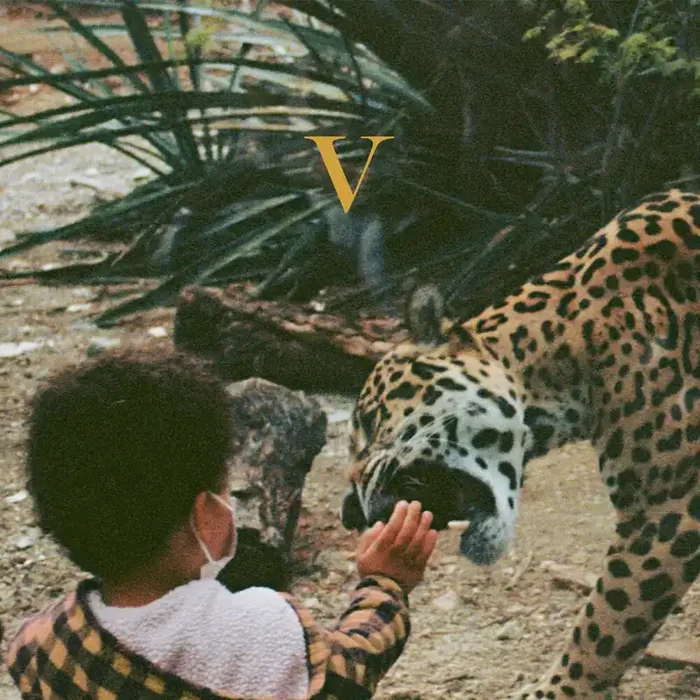 Unknown Mortal Orchestra – V [Legendary Edition 2LP]
